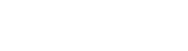 Raagam Silks